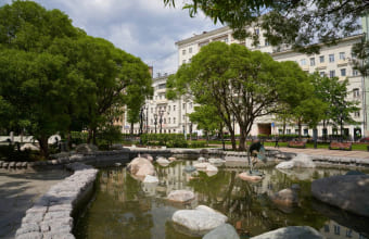 Фотография пруда